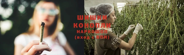 дурь Горняк