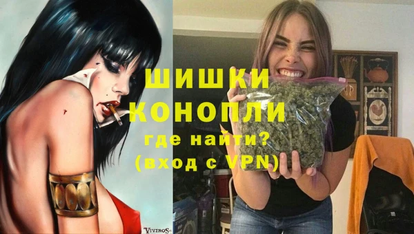 дурь Горняк