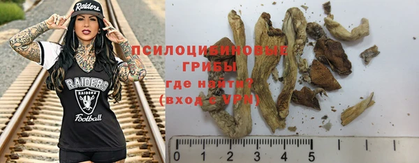 бутират Горнозаводск