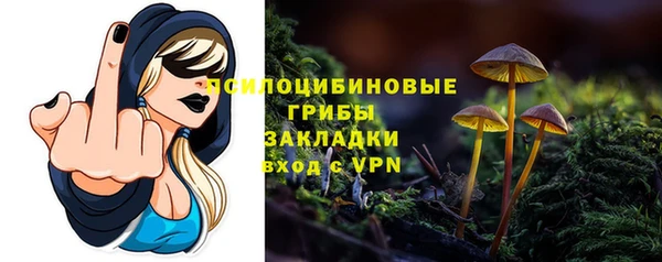 дурь Горняк